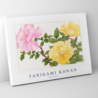 Tanigami Konan - Rose flower