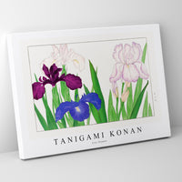 Tanigami Konan - Iris flower
