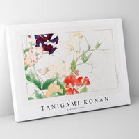 Tanigami Konan - Sweetpea flower