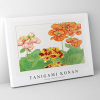 Tanigami Konan - Vintage calceolaria flower