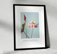 
              Ogawa Kazumasa - Beautiful photomechanical prints of Lotus Flowers (1887–1897)
            