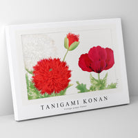Tanigami Konan - Vintage poppy flower
