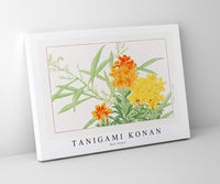 
              Tanigami Konan - Wall flower
            