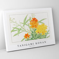 Tanigami Konan - Wall flower