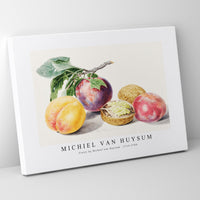Michiel Van Huysum - Fruits by Michiel van Huysum (1714-1760)
