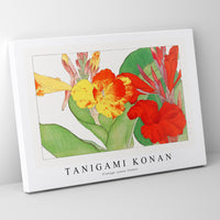 Tanigami Konan - Vintage canna flower