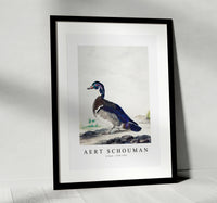 
              aert schouman - A Duck-1725-1792
            