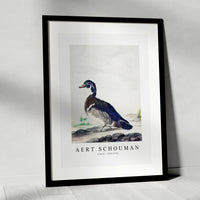 aert schouman - A Duck-1725-1792