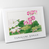 Tanigami Konan - Vintage primrose flower