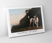 
              George Stubbs - Foxhound 1760
            