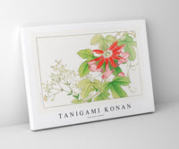 
              Tanigami Konan - Passion flower
            
