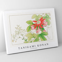 Tanigami Konan - Passion flower