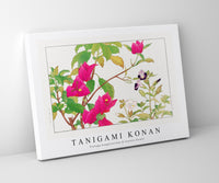 
              Tanigami Konan - Vintage bougainvillea & torenia flower
            