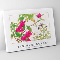 Tanigami Konan - Vintage bougainvillea & torenia flower