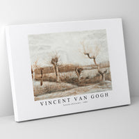 Vincent Van Gogh - Tetards (Pollards) 1884