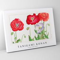 Tanigami Konan - Vintage poppy flower