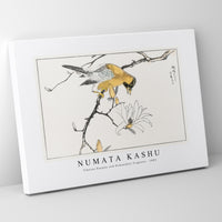 Numata Kashu - Tibetan Hoopoe and Osmanthus Fragrans illustration from Pictorial Monograph of Birds (1885)