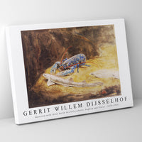 Gerrit Willem Dijsselhof - Aquarium with three North Sea fish Lobster, Dogfish and Plaice 1876-1924