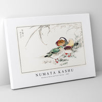 Numata Kashu - Mandarin Duck and Pearl Barley illustration from Pictorial Monograph of Birds (1885)