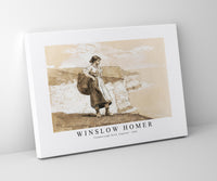 
              winslow homer - Flamborough Head, England-1882
            