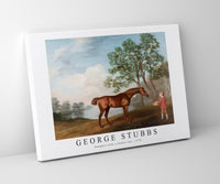 
              George Stubbs - Pumpkin with a Stable-lad 1774
            