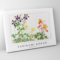 Tanigami Konan - Aquilegia flower