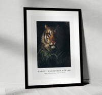 
              abbott handerson thayer - Tiger's Head painting in high resolution
            