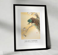 
              Ohara Koson - Peacock on a cherry blossom tree (1900-1930)
            