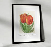 
              Sientje Van Houten - Two Red Tulips
            
