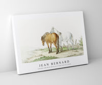
              Jean Bernard - A brown and white horse on a road next to a fence
            