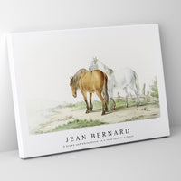 Jean Bernard - A brown and white horse on a road next to a fence