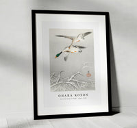 
              Ohara Koson - Two wild ducks in flight (1900 - 1936) by Ohara Koson (1877-1945)
            