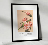 
              Ogawa Kazumasa - Beautiful photomechanical prints of Striped Camellias (1887–1897)
            