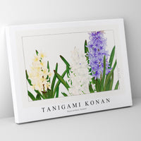 Tanigami Konan - Hyacinthus flower