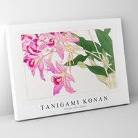 Tanigami Konan - Vintage laelia flower