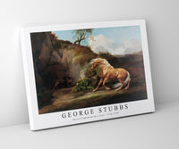 
              George Stubbs - Horse Frightened by a Lion 1762-1768
            