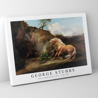 George Stubbs - Horse Frightened by a Lion 1762-1768