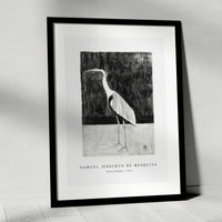 Samuel Jessurun De Mesquita - Heron (Reiger) (1911)