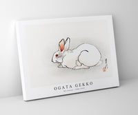 
              Ogata Gekko - Wit konijn (1900–1910)
            