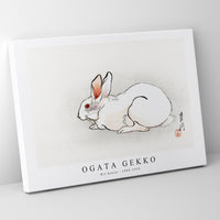 Ogata Gekko - Wit konijn (1900–1910)
