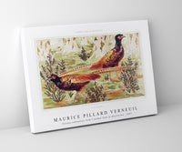 
              Maurice Pillard Verneuil - Faisans ordinaires from L'animal dans la décoration (1897)
            