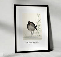 
              Ohara Koson - Moorhen (1900 - 1930) by Ohara Koson (1877-1945)
            