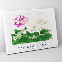 Tanigami Konan - Primrose flower