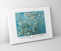 
              Vincent Van Gogh - Almond Blossom 1890
            