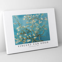 Vincent Van Gogh - Almond Blossom 1890