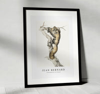 
              Jean Bernard - Flying squirrel, on a branch
            