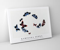 
              Kamisaka Sekka - Japanese butterfly (One Thousand Butterflies) - 1904 (12)
            