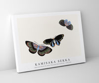 
              Kamisaka Sekka - Japanese butterfly (One Thousand Butterflies) - 1904 (5)
            