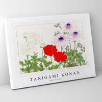 Tanigami Konan - Anemone flower