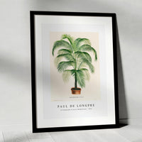 Paul de Longpre - A lithograph of Cocos Weddelliana 1875